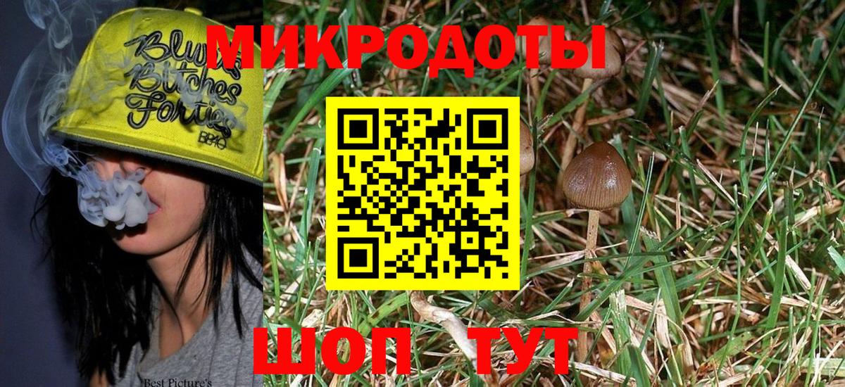Псилоцибиновые грибы GOLDEN TEACHER  Галлюциногенные грибы MAGIC MUSHROOMS  Вход с VPN  Урюпинск 